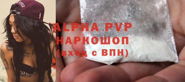 индика Арсеньев