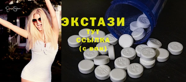 индика Арсеньев