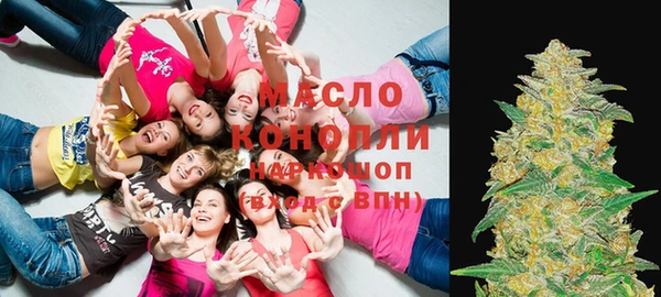 индика Арсеньев