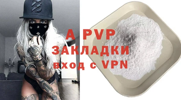 индика Арсеньев