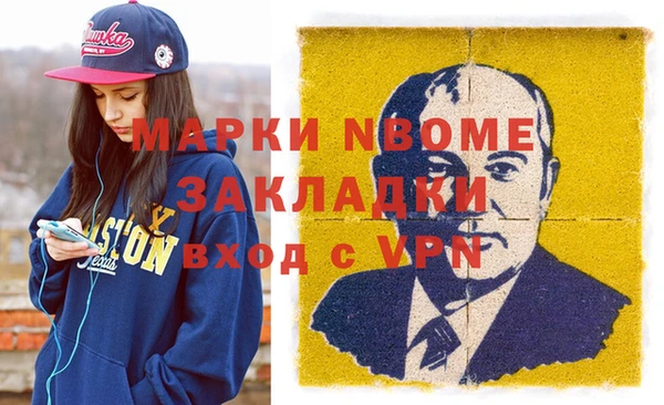 индика Арсеньев