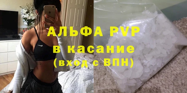 индика Арсеньев
