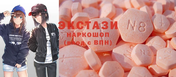 индика Арсеньев
