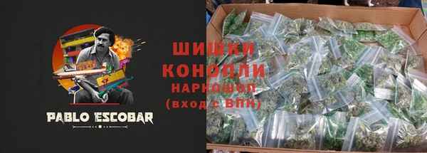 индика Арсеньев