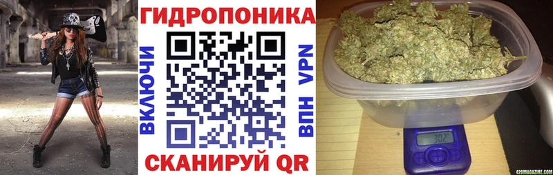 Канабис гибрид MEGA ТОР Багратионовск